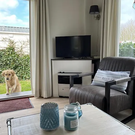 N 9strandnahes, Hunde-familienfreundliches