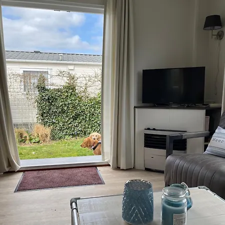 N 9strandnahes, Hunde-familienfreundliches