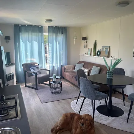 Holiday home N 9strandnahes, Hunde-familienfreundliches Callantsoog