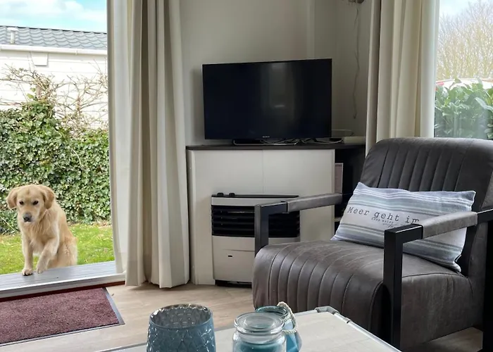 N 9strandnahes, Hunde-familienfreundliches