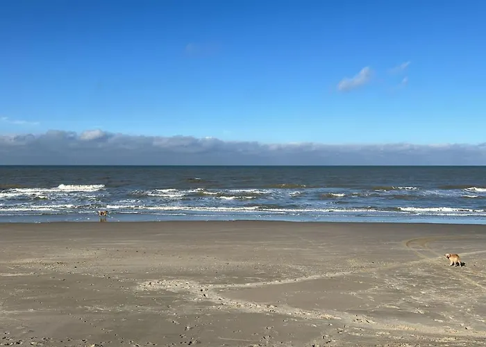 Ferienhaus N 9strandnahes, Hunde-familienfreundliches