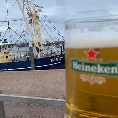 N 9strandnahes, Hunde-familienfreundliches