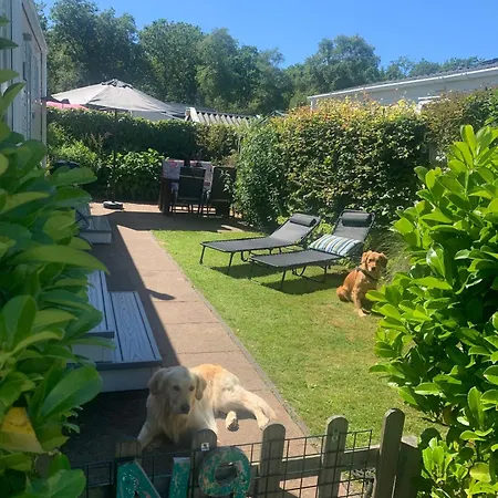 N 9strandnahes, Hunde-familienfreundliches Callantsoog