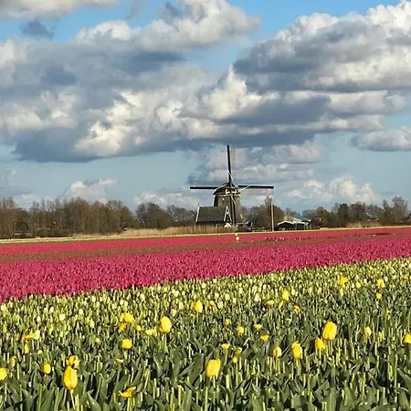 N 9strandnahes, Hunde-familienfreundliches * Callantsoog