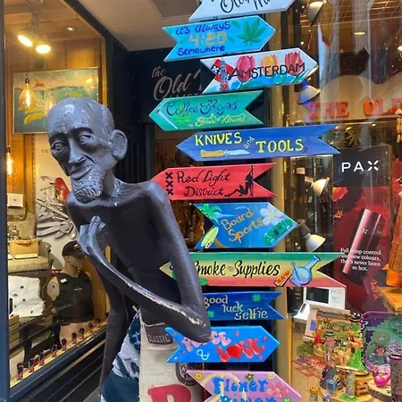 N 9strandnahes, Hunde-familienfreundliches