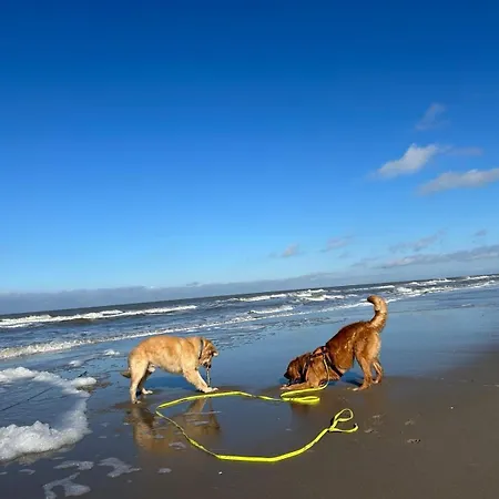 N 9strandnahes, Hunde-familienfreundliches Ferienhaus