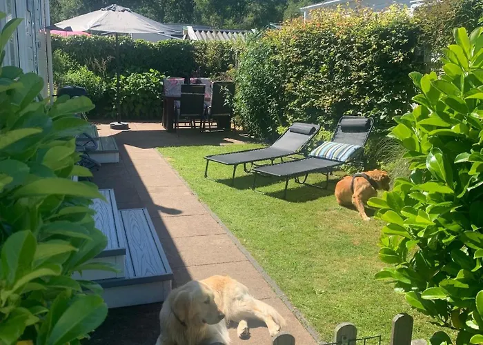 N 9strandnahes, Hunde-familienfreundliches Callantsoog