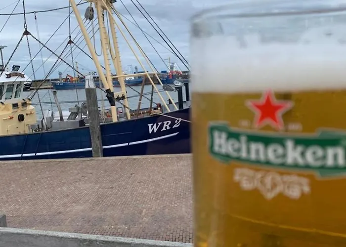 N 9strandnahes, Hunde-familienfreundliches