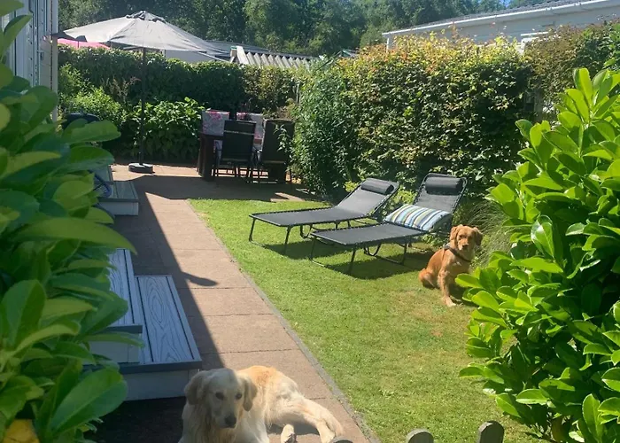 N 9strandnahes, Hunde-familienfreundliches Callantsoog