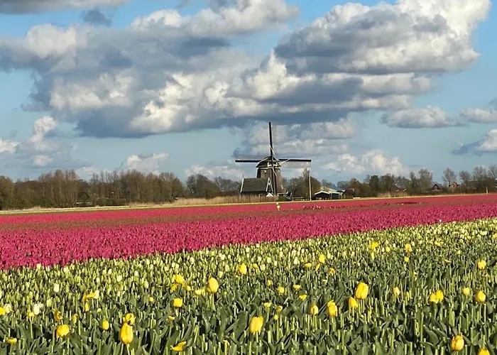 N 9strandnahes, Hunde-familienfreundliches * Callantsoog