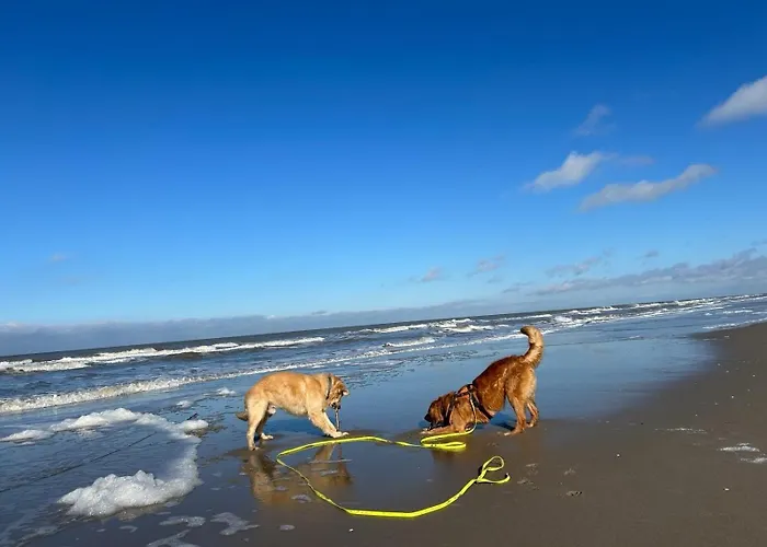 N 9strandnahes, Hunde-familienfreundliches Holiday home